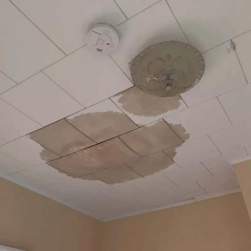 Ceiling Water Damage Repair in Roxbury, WI